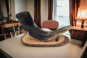 Shofar de Cuerno de Carnero Pulido Natural Kosher, Tamaño Personalizado, Material Orgánico para Fines Religiosos, Decoración Náutica para el Hogar - Product Image 3