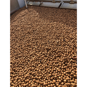 Grosses particules noix cerneaux noix prix en coque - Product Image 1