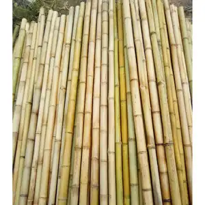 도매 좋은 품질 천연 강한 대나무 지팡이 기둥 스테이크 정원 대나무 스테이크