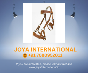 ตะขอเกี่ยวม้าบังเหียนอินฟินิตี้ขายส่ง - Product Image 2