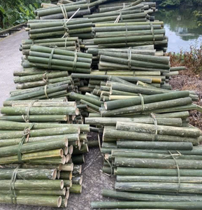 Varillas de Bambú Flexibles Hechas en Vietnam para Marcos de Embalaje, Arreglos de Exhibición y Soluciones Versátiles de Material para Manualidades - Product Image 2