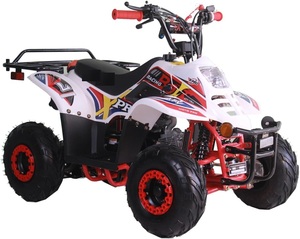 ATV Quad de 110cc para jóvenes, ATV de 4 ruedas a gasolina de 110cc, ATV todoterreno de tamaño infantil, vehículos de 4 ruedas dfdsg - Product Image 3