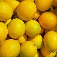 Oranges fraîches biologiques Citrons verts Agrumes frais de qualité supérieure goût sucré