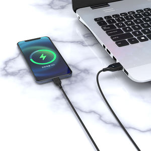 Câble USB 3A à charge rapide 60W CB-273-IP 1M noir pour connecteurs iPhone Type-C à Type-C - Product Image 1