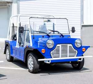 READY SHIP Verified Gas/Petrol Sightseeing Utility Vehicle 4-6 Seats Open Body Left Steering Turbo Leather Seats R19 Ready <b>Drive</b> - Product Image 1