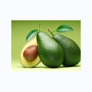 Aguacate fuerte congelado de alta calidad Grado a IQF Almacenamiento 10KG/CTNS al por mayor - Product Image 3