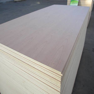 Lámina de Madera Contrachapada Ecológica de Primera Calidad, Resistente al Agua, de 4x8 pies, Grado E0, para Mejoras del Hogar, 18 mm - Product Image 3