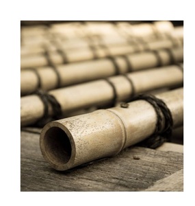 Varilla recta de bambú natural, palos de bambú duraderos del bosque, árbol de bambú grande, postes de bambú secos tratados de 300cm - Product Image 1