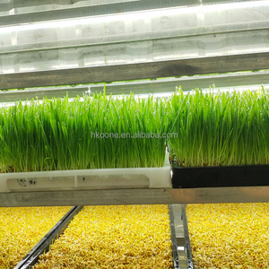 Sistema de Cultivo Vertical Hidropónico en Contenedores para Alimentación de Ganado Vacuno, Ovino, Caprino y Lechero - Product Image 6