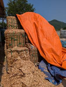 PROVEEDOR DE VIETNAM/CONCHA DE CAMARONES DE ALTA CALIDAD para ALIMENTACIÓN ANIMAL | MATERIAL NATURAL - Product Image 2