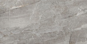 Fourniture directe d'usine DLG-100 carreaux de porcelaine pour cuisines salles de bains et espaces de vie disponibles à un prix abordable - Product Image 3