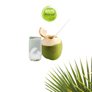 Noix de coco fraîche vietnamienne goût rafraîchissant produit agricole - Product Image 1