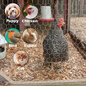 Yeni PVC plastik tavuk tel Mash 1.8 rulo Metal kafes tavuk tel Cloche kubbe bahçe tel bitki koruyucu kapak hayvanlardan - Product Image 2