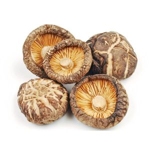 Hongo Shiitake seco de Vietnam/Hongo seco de alta calidad a granel/Hongo Shitake seco - Product Image 1