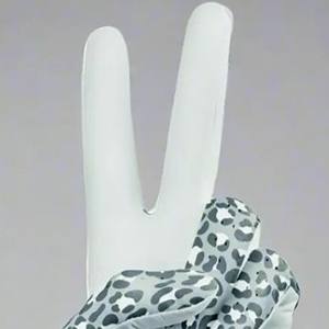 Vêtements de sport Gants de golf imprimés pour hommes Top Tendance Anti-rides Vente à chaud Qualité supérieure Pas cher Prix Gants de golf imprimés pour hommes - Product Image 6