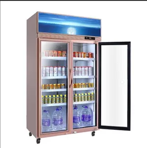 Fan soğutma ekran dondurucular ve buzdolapları Stand up içecek soğutucu ticari dondurucu ekran gıda dükkanı için iki cam kapi