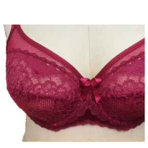 Ensemble soutien-gorge et culotte romantique pour femme, soutien-gorge à armatures, bonnet complet, séchage rapide, push-up, polyamide, élasthanne, polyester, dentelle, nœud, hipster - Product Image 2