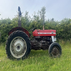 Compre Massey Ferguson 135 Tractor sobre orugas 4WD Entrega rápida Calidad Premium para granjas y campos Listo para uso inmediato - Product Image 3