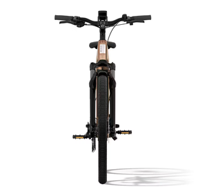 COMPRA CON SEGURIDAD NUEVA Bicicleta Eléctrica de Nivel 3 con Marco Bajo ORIGINAL |   Garantía de 3 Años - Product Image 6
