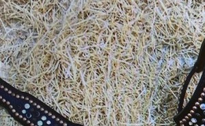 Design clouté en laiton avec perles de cristal blanc fleur Conchos outillage floral ensemble de têtière et de plastron occidental vente chaude - Product Image 2