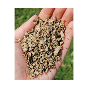 Granulés de pulpe de betterave de qualité supérieure pour l'alimentation des bovins et des poulets, emballage en vrac naturel, qualité supérieure, prix bas, vente en gros - Product Image 1