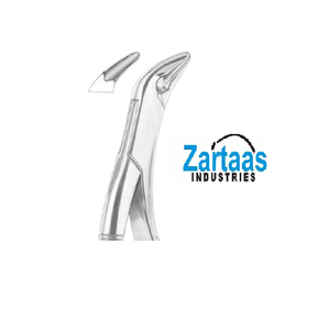 Pince d'extraction en acier inoxydable de haute qualité THOMAS canines inférieures, prémolaires et molaires fig 85A exportateurs et fabricant - Product Image 1