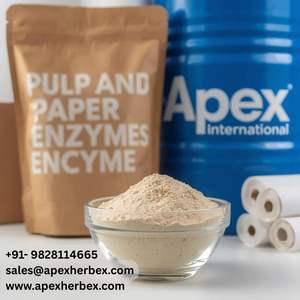 Enzima xilanasa para pulpa y papel, xilanasa Apex, enzima xilanasa para pulpa y papel, uso industrial a granel, 24 meses de vida útil, almacenamiento en seco - Product Image 1