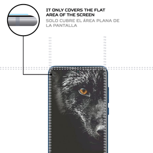 ฟิล์มกันรอย ANTISHOCK สำหรับอุปกรณ์เสริมมือถือแบล็คฟ็อกซ์ B10 พรีเมียม - Product Image 4