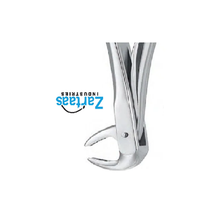 Exportadores y fabricantes de fórceps de extracción de acero inoxidable de alta calidad - Product Image 2