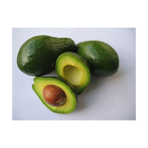 Aguacate Fresco Hass en Venta, Fruta Fresca de Color Verde Intenso, Calidad Premium Tropical, Empaque Tipo Caja Estilo EE. UU., 2 Años de Duración - Product Image 1