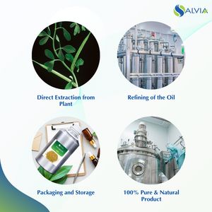 Meilleure vente superbe qualité 100% huile essentielle de fenugrec pur et naturel pour le prix de vente entier - Product Image 4