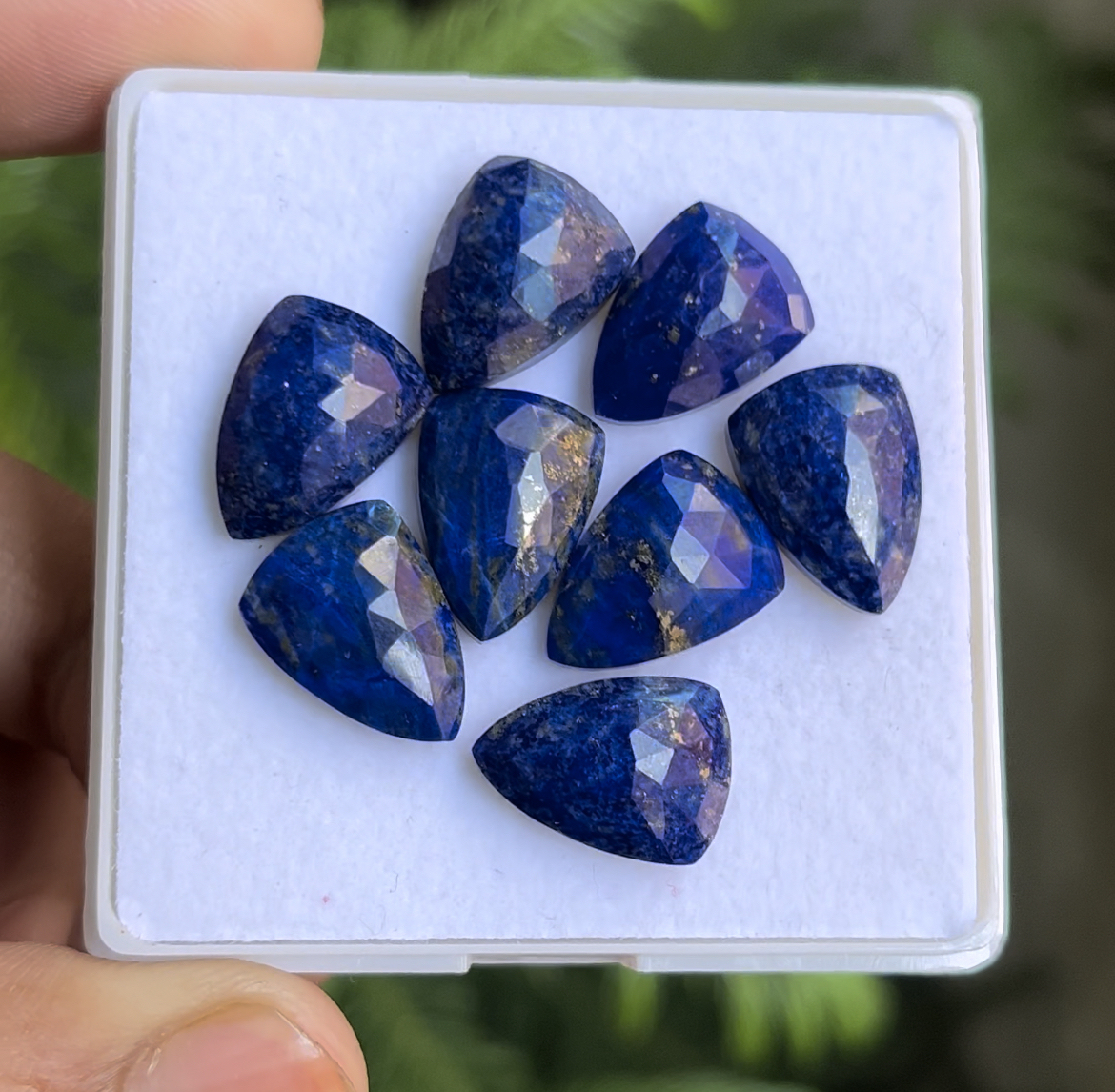 Bleu
