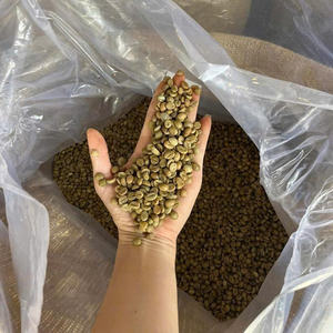 HANCOFFEE Café vert Robusta du Vietnam de haute qualité - Processus miel - Grade 1 Taille 16-18 Prix de gros pour le commerce - Product Image 3