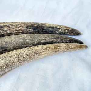 Puntas de Cuerno de Búfalo Rectangulares Modernas, Hechas a Mano, de Alta Calidad, Ecológicas, de Color Negro Natural, Tamaño Personalizable, ARTESANÍA Atemporal - Product Image 2