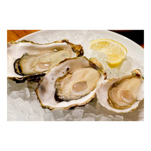 เนื้อหอยนางรมญี่ปุ่นสำหรับการจัดหาและการค้าส่งปริมาณ - Product Image 3