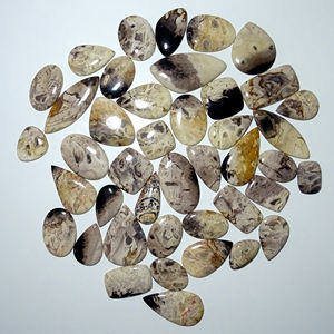 Cabujón Natural de ágata de raíz de Palma, piedra preciosa pulida a mano, lote de ágata de raíz de Palma suelta para fabricación de joyas - Product Image 6