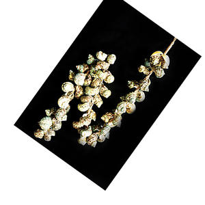 Décoration de coquillages Tessell Green 100cm, motif de bijoux en coquillages, décoration de maison durable, motif de bijoux en coquillages - Product Image 2