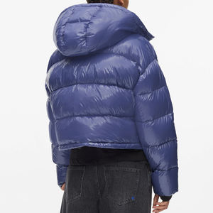 Veste d'hiver pour femmes OEM, chaude, à capuche, prix de gros, directement de l'usine, mode, fermeture éclair, vêtements d'extérieur décontractés, streetwear, doudoune 2026 - Product Image 2