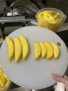 Canned mango Sliced in <b>Light</b> Syrup| OEM Packaging From VietNam - Product Image 3