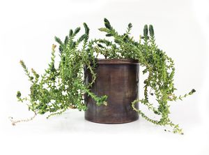 Juego de 3 Macetas de Cobre de Alta Calidad, Hechas a Mano, con Aspecto Antiguo y Acabado Cepillado para Jardín (14.5-10-7 cm) - Product Image 2