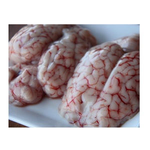 Cerveau de bœuf congelé - Vente en gros d'offal de bœuf - Approvisionnement en vrac - Product Image 1