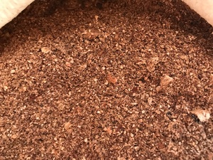 เปลือกเม็ดมะม่วงหิมพานต์คุณภาพสูงจากเวียดนาม ให้เส้นใยที่สะอาด ทนทาน เหมาะสำหรับการผลิตอาหารสัตว์ขนาดใหญ่ และมีความเสถียร - Product Image 5