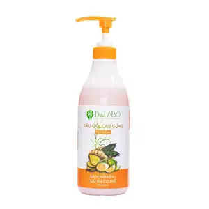 Global Export Areca & Ginger 2-IN-1 Gel Shampoo Traditional Vietnamese Formula for Cleaning Dandruff and Warming the Body