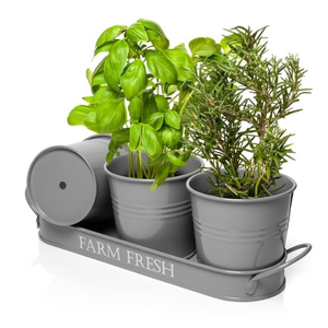 Dernier concepteur de jardinière d'herbes décoratives de ferme Pots d'herbes aromatiques avec plateau Jardinière d'herbes d'intérieur pour plantes saines Pots - Product Image 2