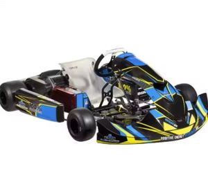 Karts électriques Bsr Pro X5 prêts à être expédiés, expérience de course ultime avec pédales pour adultes K5 - Product Image 2