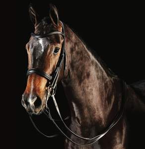 Brida de caballo de cuero genuino de diseño personalizado de alta calidad al por mayor de los fabricantes - Product Image 1