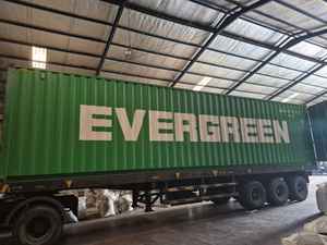 Fournisseur et exportateur indonésien d'agriculture et d'épices, FIABLE, PRÊT POUR LES COMMANDES EN GROS DANS LE MONDE ENTIER, MÉTHODE FOB CIF - Product Image 6