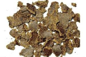 Aceite de Semilla de Algodón Orgánico Prensado en Frío de Alta Calidad para Alimentación Animal en Venta con Descuentos - Product Image 3