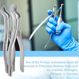 Forceps dentaire manuel en acier inoxydable pour l'extraction des dents, instrument pour les racines inférieures, pour l'élimination des racines dures, instruments chirurgicaux - Product Image 3