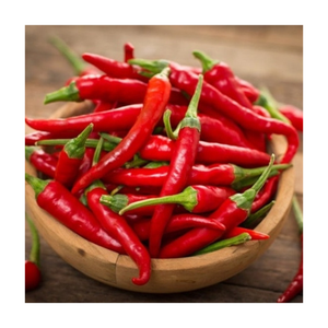 Chili vietnamita congelado, pimientos rojos y verdes, sabor picante IQF, larga vida útil, perfecto para comidas y salsas congeladas - Product Image 4